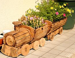 Garden train