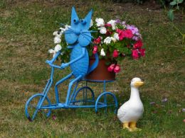 The blue cat on his tricycle narrowly avoids a duck that crossed without looking Picture