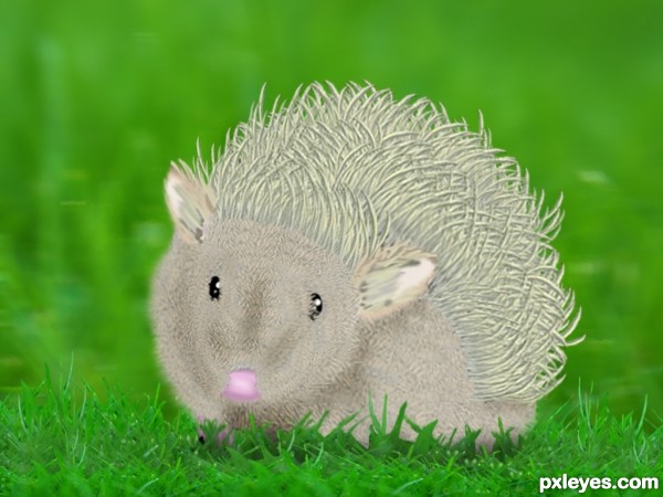 Creation of Hedgehog: Final Result