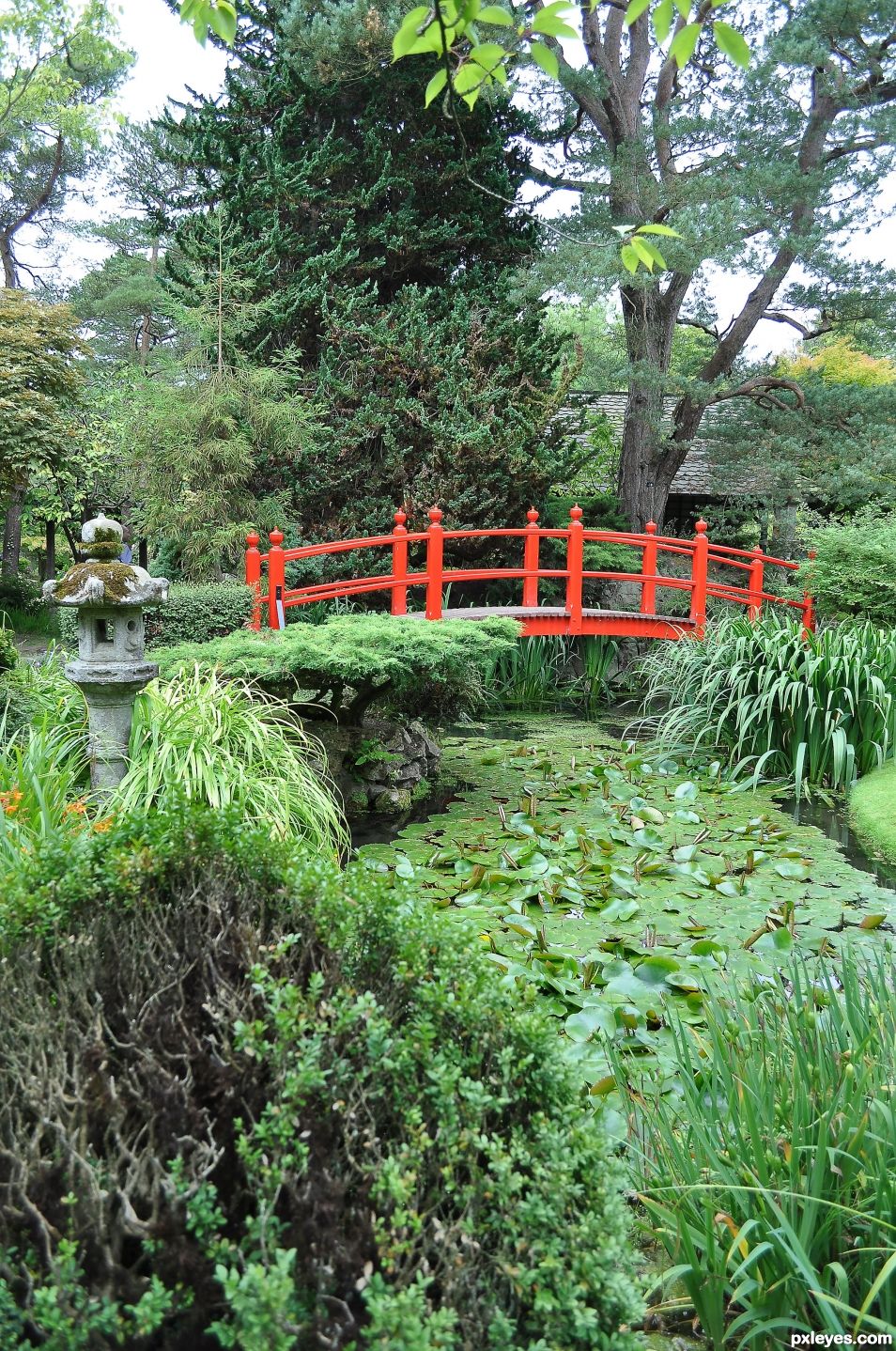 JAPANESE GARDEN