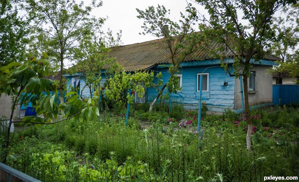 Countryside garden