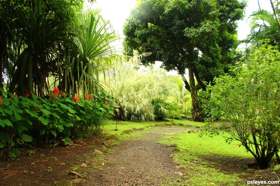 Tahiti Garden