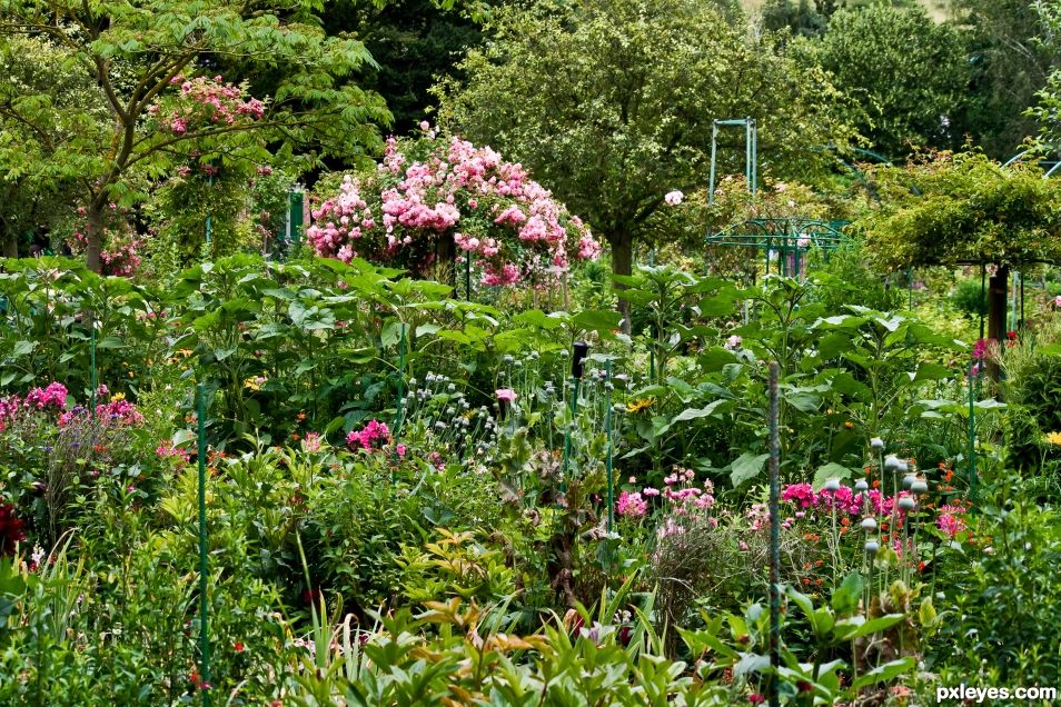 Monets Garden Giverny