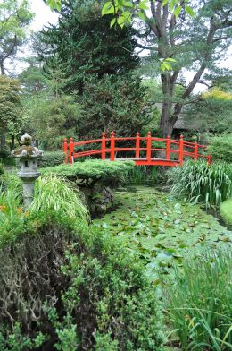 JAPANESE GARDEN