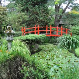 JAPANESEGARDEN