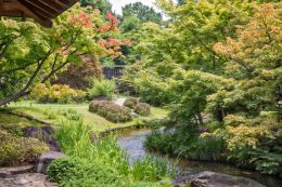 A stream runs through the garden