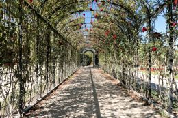a scented path