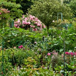 MonetsGardenGiverny