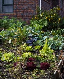 Winter Garden