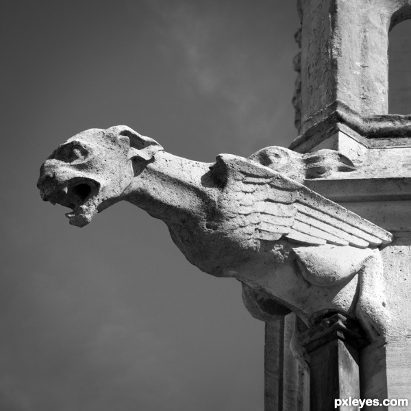 Amiens Cathedrale Gargoyle