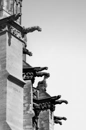 Army of gargoyles !