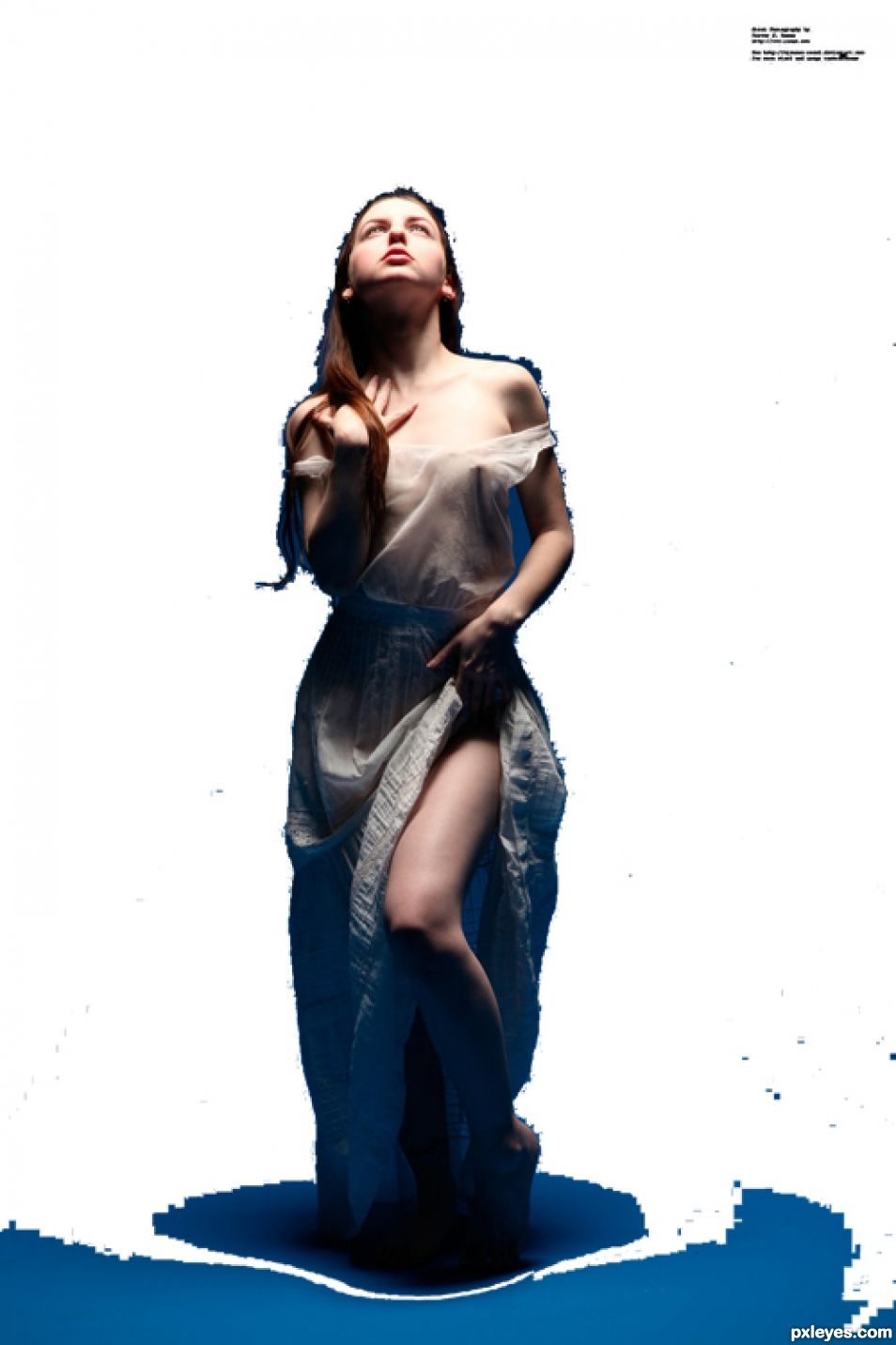Creation of Venus from Shell: Step 5