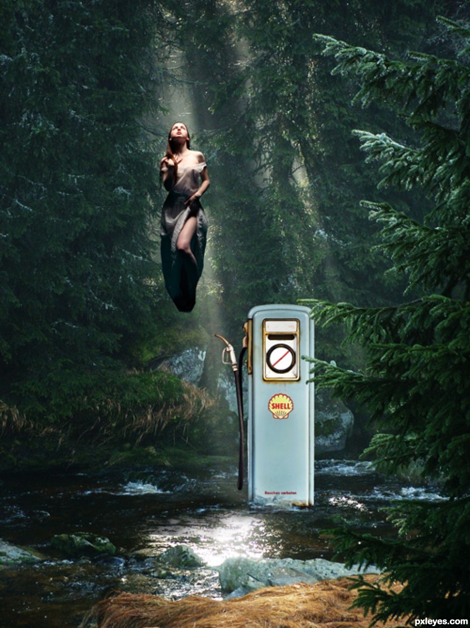 Creation of Venus from Shell: Step 6