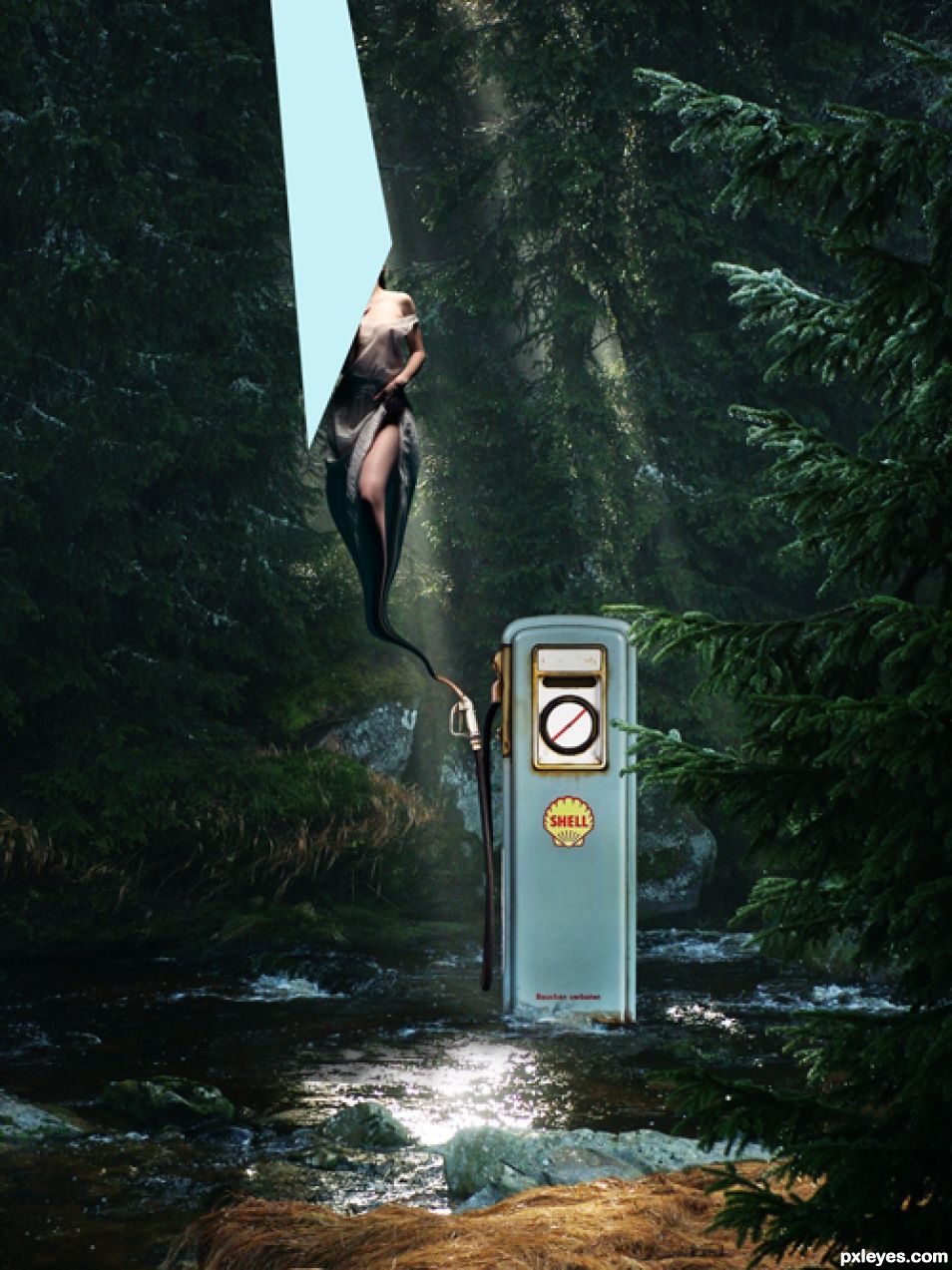 Creation of Venus from Shell: Step 7
