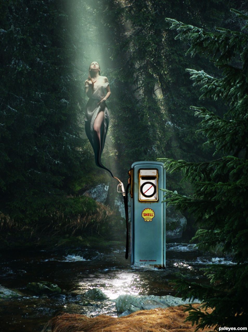 Creation of Venus from Shell: Step 8