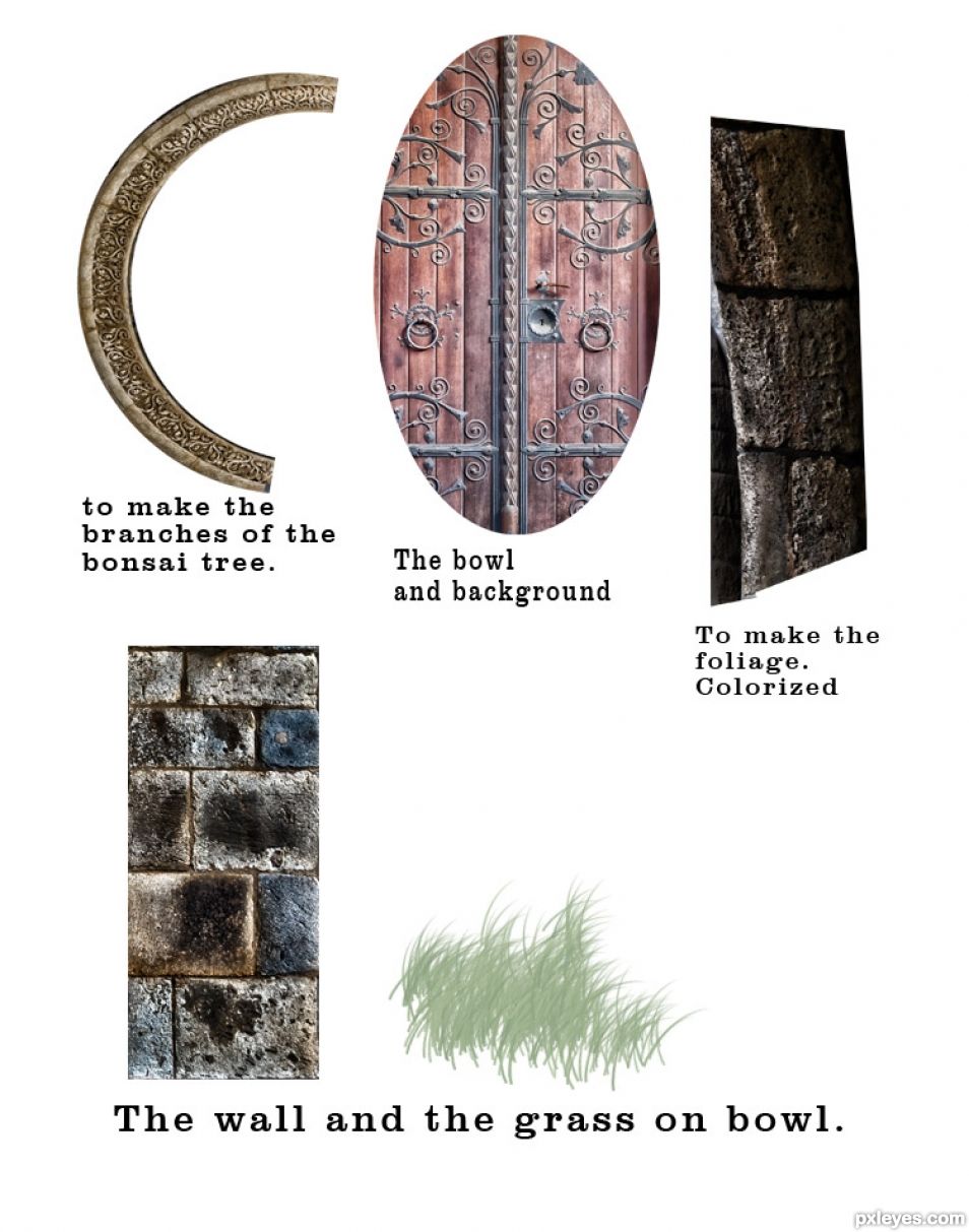 Creation of BONSAI: Step 1