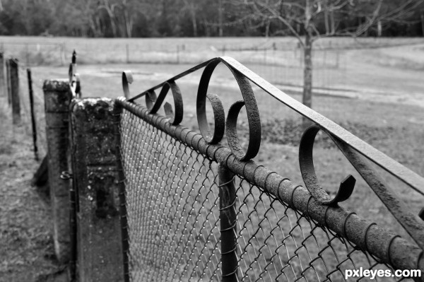 Cemetery Gates