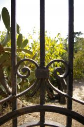 Gate at parc GÃ¼ell Picture