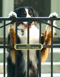 Gatesprotectthese
