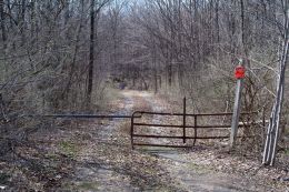 Rural Gate Picture