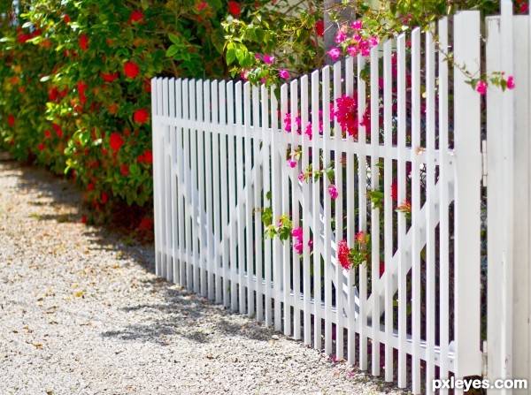 Flowered gate