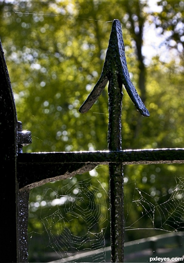 Wrought Iron Webs photoshop picture)