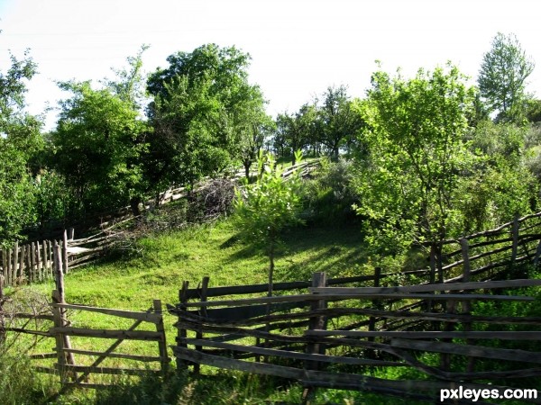 gate tied with wire