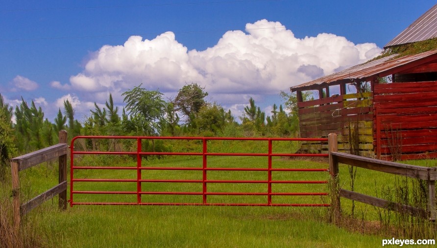 Red gate