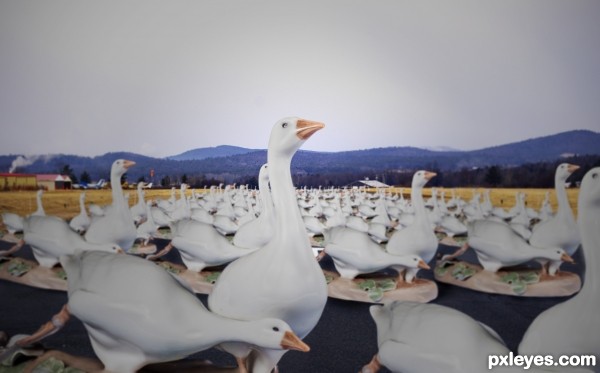 Creation of Warning: Geese Figurines on Runway: Final Result