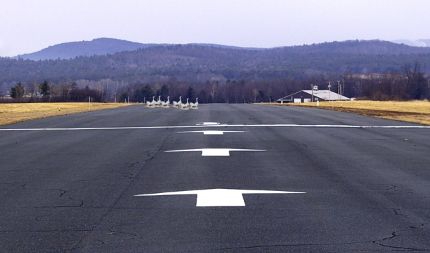 Creation of Warning: Geese Figurines on Runway: Step 2