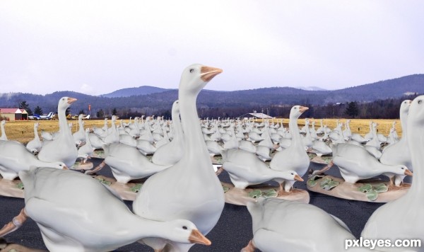 Creation of Warning: Geese Figurines on Runway: Step 4