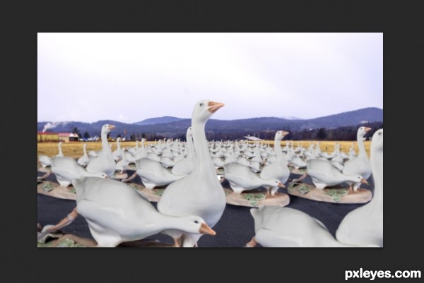 Creation of Warning: Geese Figurines on Runway: Step 6