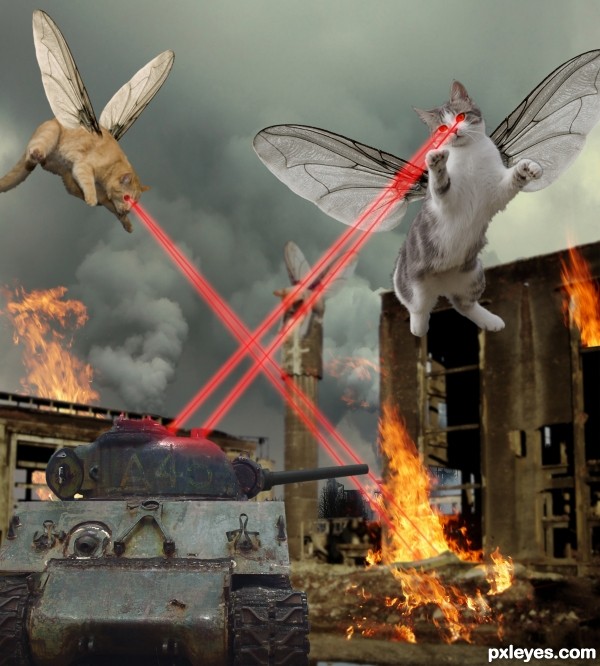 Creation of GIANT KITTYFLIES ATTACK!: Final Result