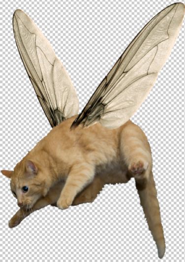 Creation of GIANT KITTYFLIES ATTACK!: Step 4