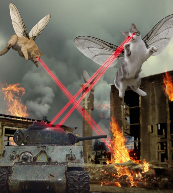 Creation of GIANT KITTYFLIES ATTACK!: Step 8