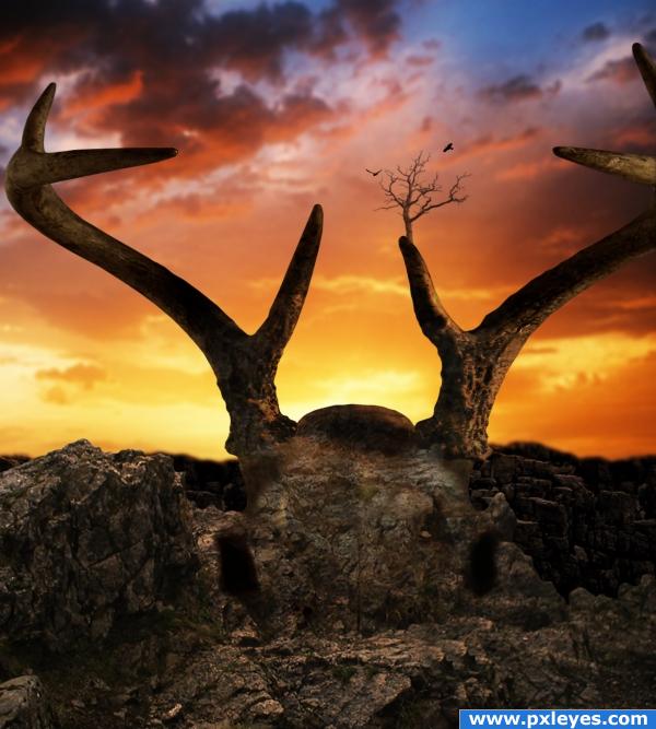 Creation of giant deer skull....: Final Result