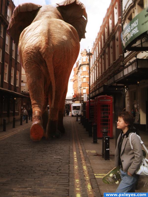 Giant Elephant photoshop picture