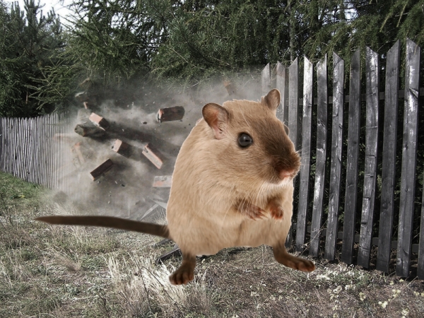 Creation of Mouzilla: Step 4