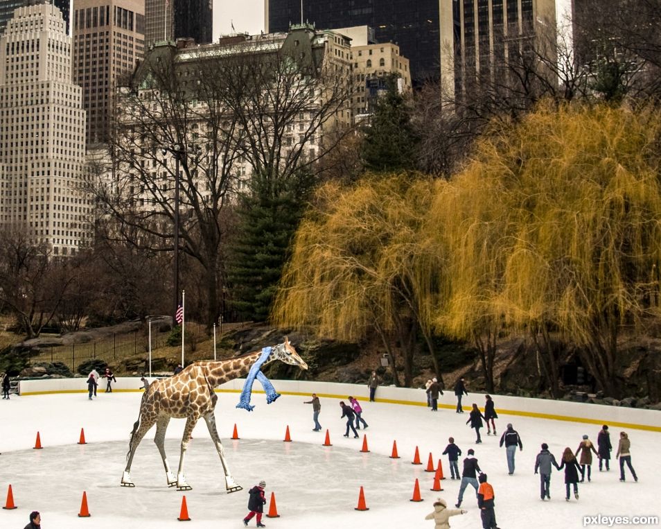 Creation of Giraffe skating in Central Park: Final Result