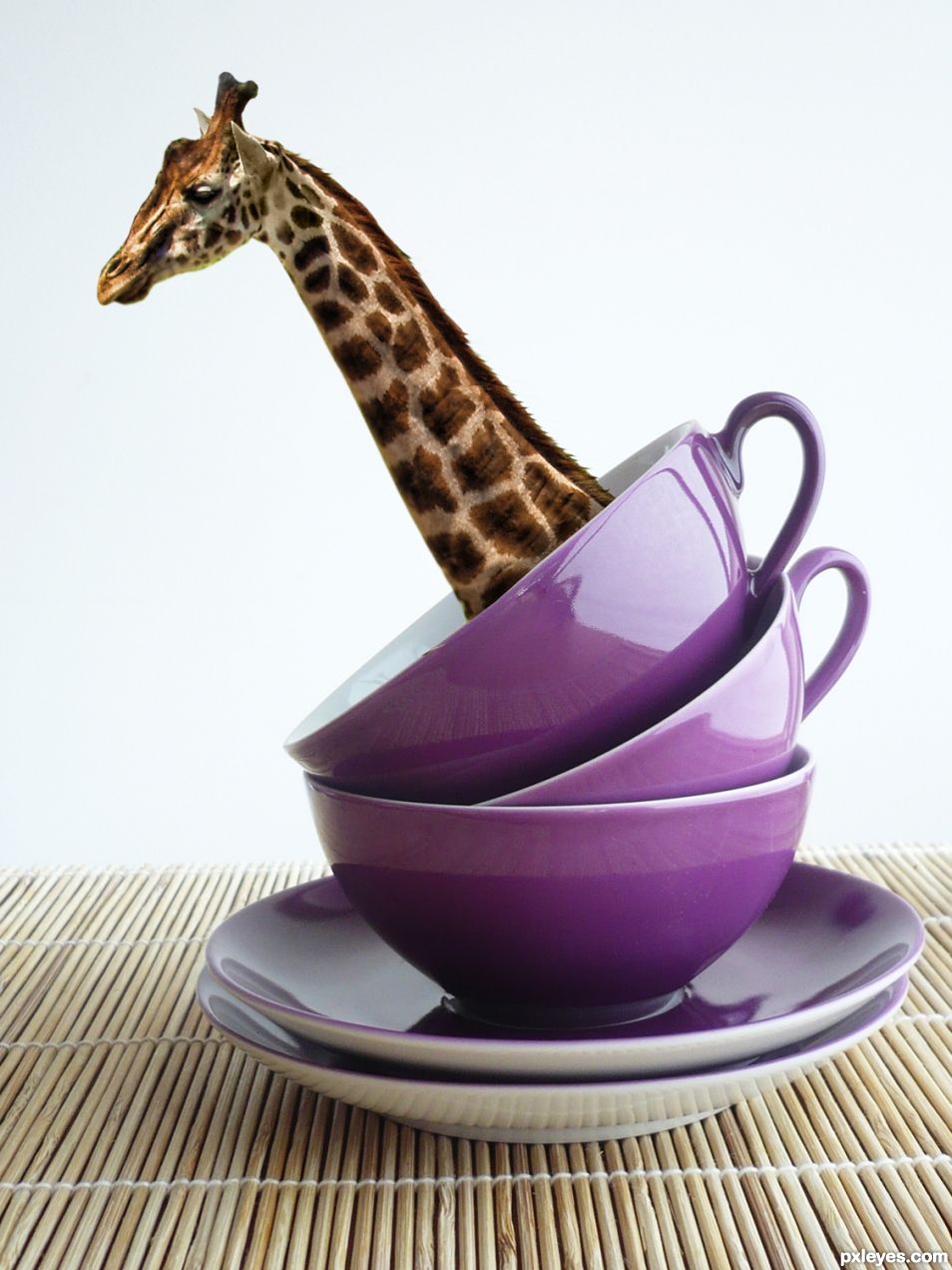 Giraffe Tea