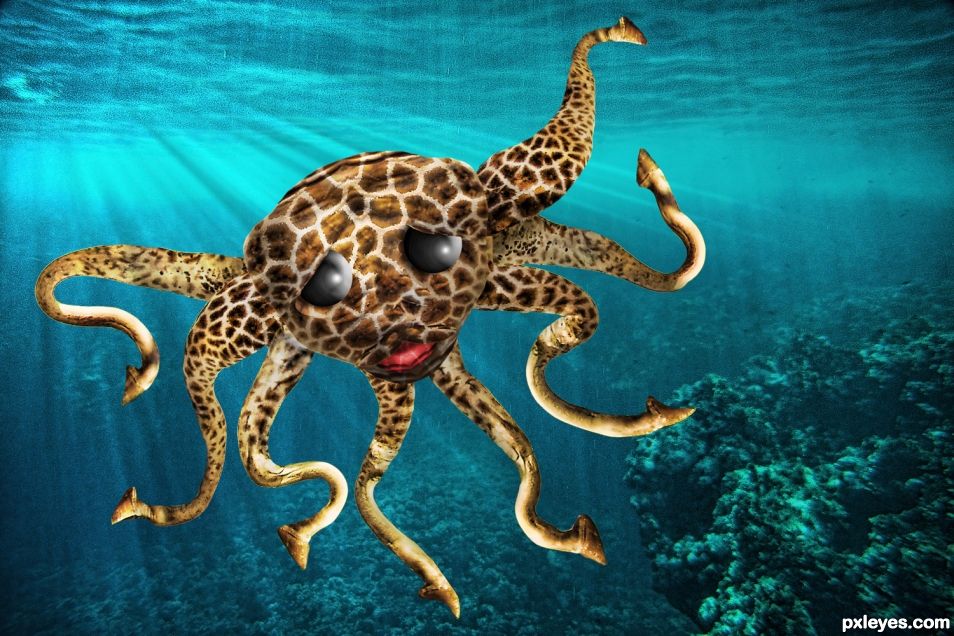 The Octoaffe