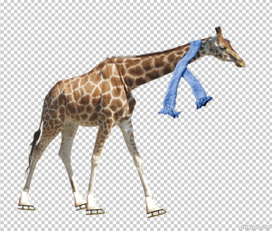Creation of Giraffe skating in Central Park: Step 2