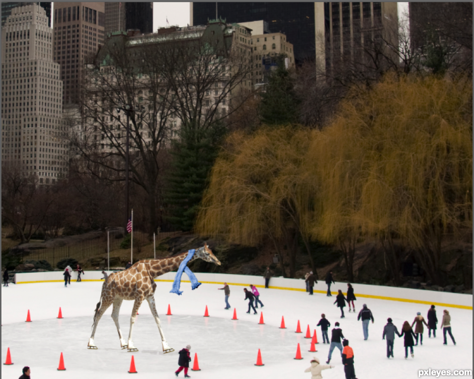 Creation of Giraffe skating in Central Park: Step 3
