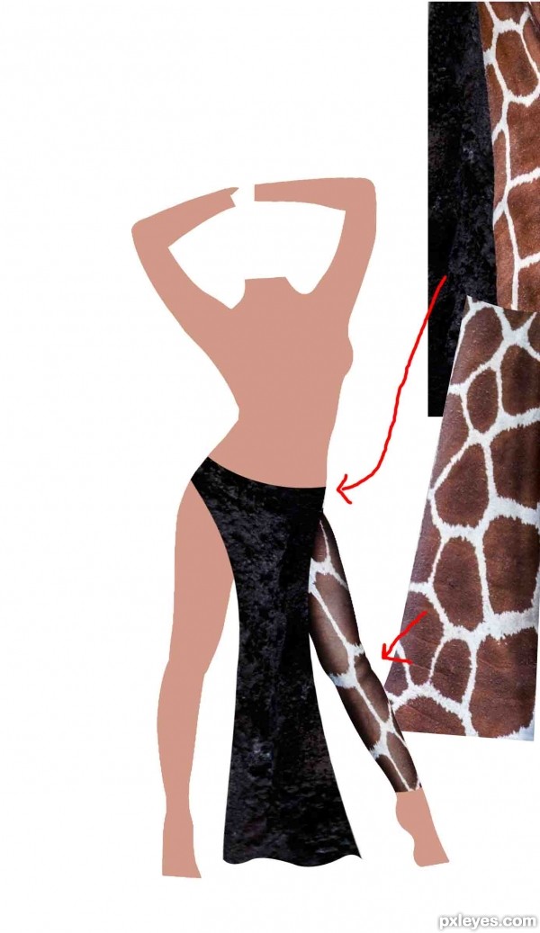 Creation of Model: Step 1