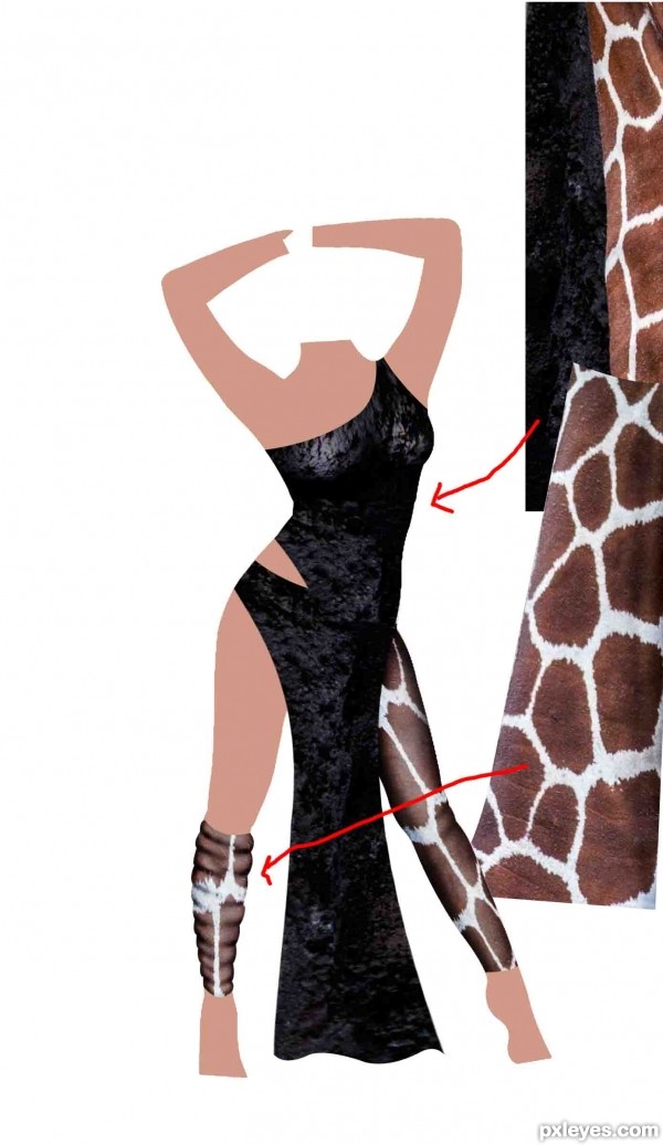 Creation of Model: Step 2