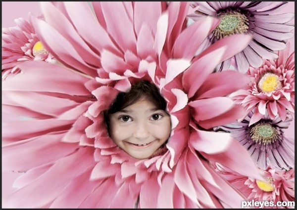 Creation of Flower vortex: Step 8