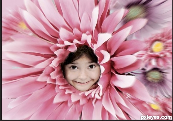 Creation of Flower vortex: Step 9