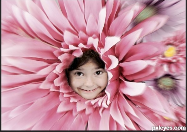 Creation of Flower vortex: Step 10