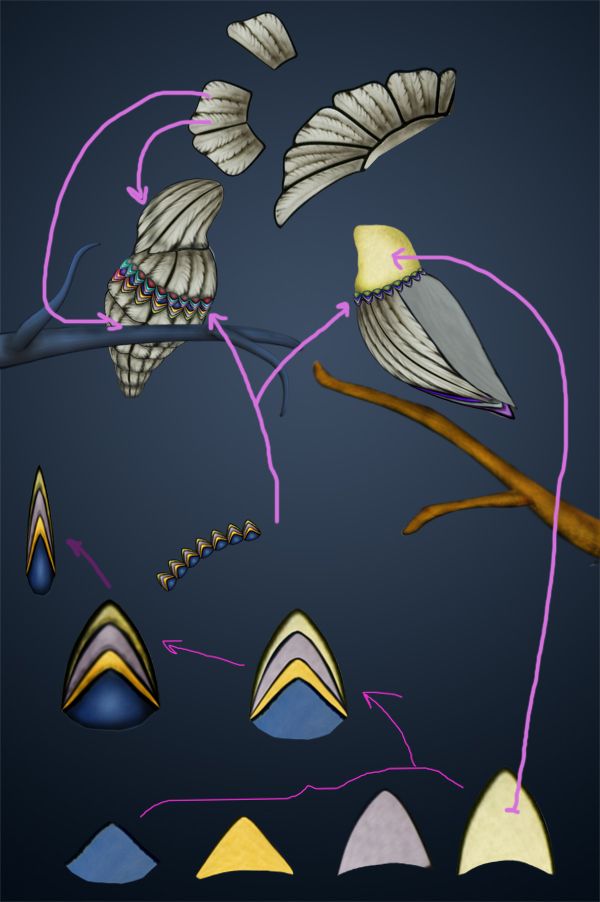 Creation of Featheries: Step 3