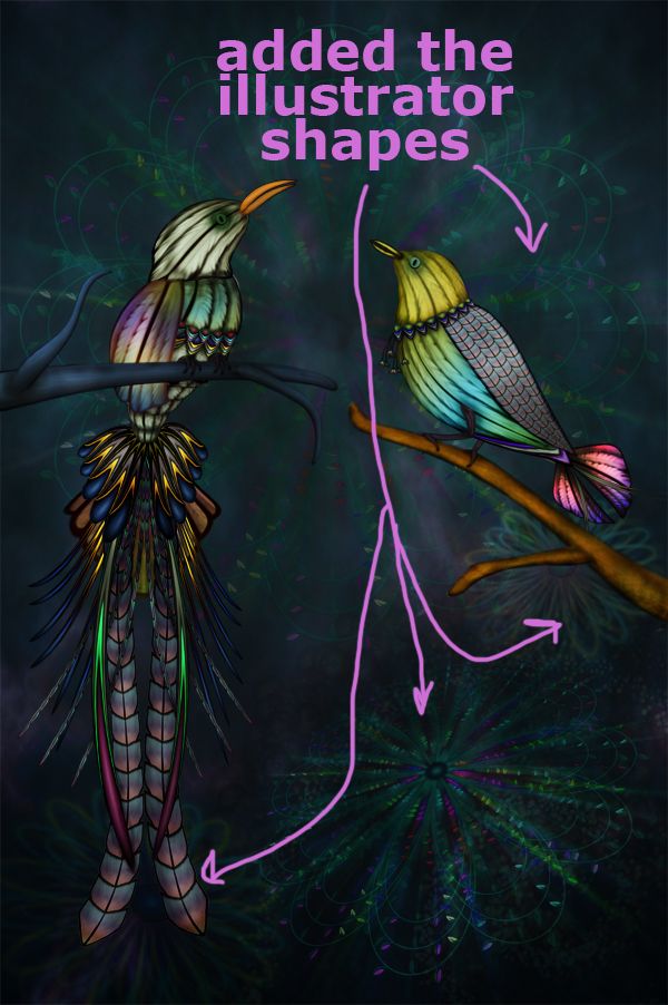 Creation of Featheries: Step 12